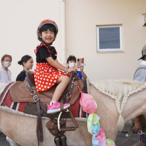 マリアこども園ポニーイベント写真