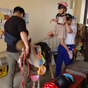 マリアこども園ポニーイベント写真