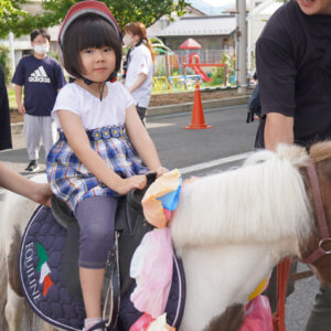 マリアこども園ポニーイベント写真