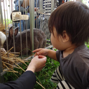 マリアこども園ポニーイベント写真