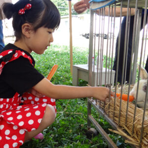 マリアこども園ポニーイベント写真