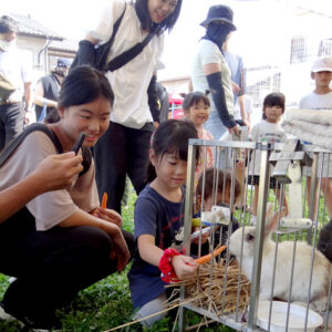 マリアこども園ポニーイベント写真