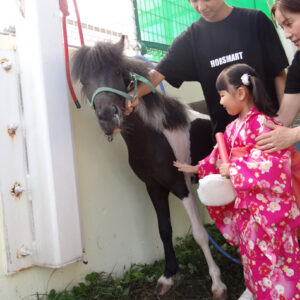 マリアこども園ポニーイベント写真