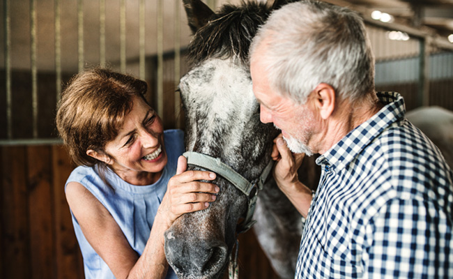 シニア向け施設へのポニー出張